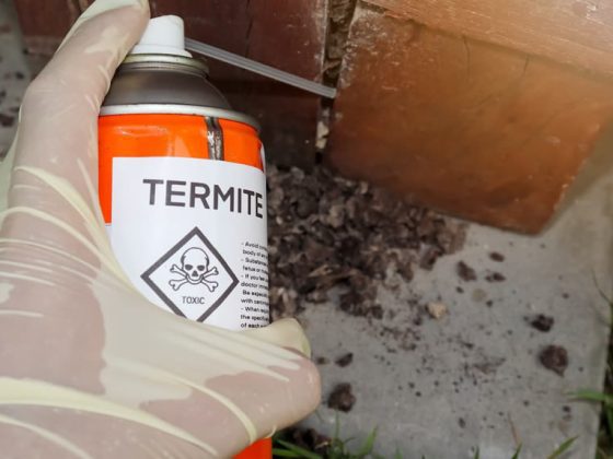 Does Bifenthrin Kill Termites