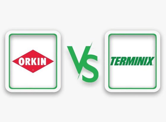 terminix vs orkin
