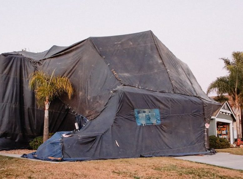 termite tenting