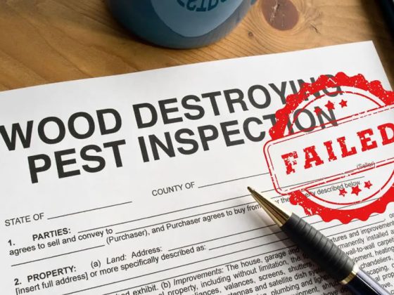what if house failed termite inspection