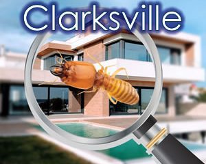 Termite Inspection Clarksville TN