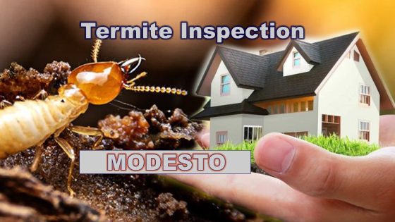 Termite Inspection Modesto CA
