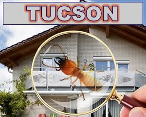 Termite Treatment Tucson
