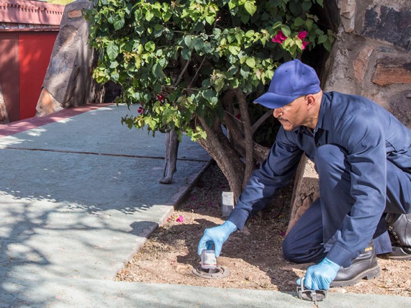 How To Choose The Right Termite Inspection Houston ⋆ TermiteHQ