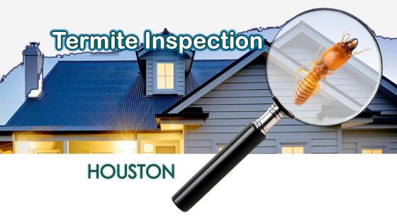 termite inspection houston