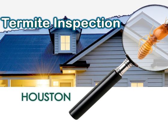 termite inspection houston