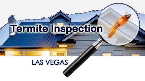 termite inspection las vegas