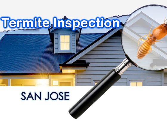 termite inspection san jose