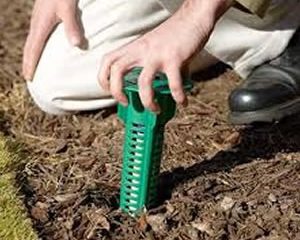 Termite Baits vs. Termidor Termite Barriers